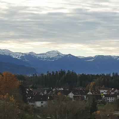 Panorama